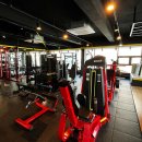 팀엑스핏 개봉 이미지