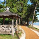 청심국제청소년수련원 이미지