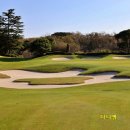 가보 그린필드골프크럽 | 명문 제주도 골프장 추천 잔디 맛집 제주 테디밸리cc 예약 후기