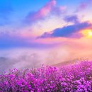 산신제 약수터 | “등산 초보도 2시간이면 충분”… 창원 천주산 진달래 코스 총정리