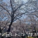 보물나라캠프