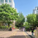 진관초등 이미지