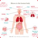 더 제일약국 이미지