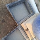 다미농원 이미지