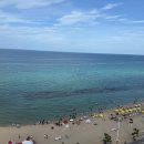 오리 아뜰리에 이미지