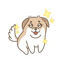 우리집 멍뭉 이미지