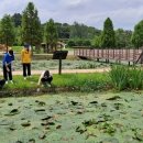 우포늪 생태 사진전 이미지