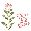 유엔공인중개사사무소 이미지