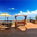 영덕바닷가솔밭펜션 이미지