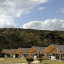 왜관읍사무소 | [대구 근교 글램핑/칠곡 캠핑장] '왜관 힐포레 글램핑장'