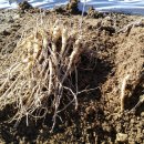 으뜸2농장 이미지