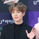 슈가 티스토리