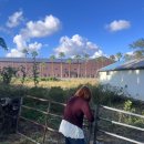 소샘농장 이미지