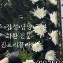 천지장례식장근조화환꽃집