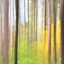 가을목장 이미지