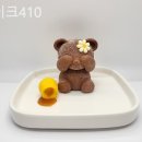 레이크410 이미지