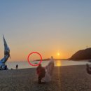 수산물 유통센터 화장실 이미지