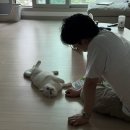 임신일기43/거실을 치우고 아기매트를 깔자! 꼬망세 항균더블클린매트 크림그레이 내돈내산