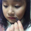 (주)태성물산 이미지