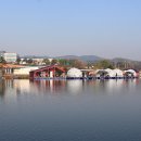 붕어의 신 이미지