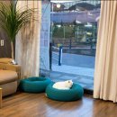 용산대학약국 이미지