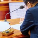 우리집은 김밥집 이미지