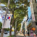 지한약국 | 울산-부산 서면에서 눈밑지 비용과 눈밑지방재배치(제거) 후기 part1