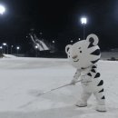 894016 이미지
