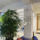 대진초교 앞 이미지