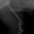 두리종합동물병원 이미지