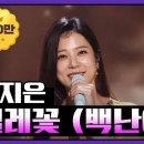 찔레꽃 - 양지은 이미지