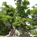 규남박물관 이미지