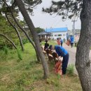 대한민국특수임무유공자회제주특별자치도지부 이미지