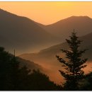 수철령 Daum카페
