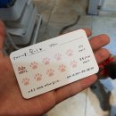 온리유 펫살롱 이미지