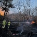 안태초등학교 이미지