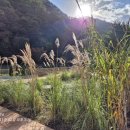 대아주차장 이미지