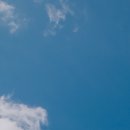 네오웰빙 이미지