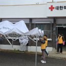 오찬김치 이미지