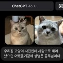 장성체육관 | 지난 4월