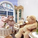 해피베어 이미지