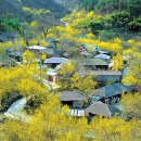 오리지날주유소 이미지