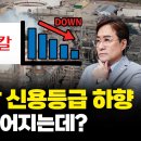 롯데케미칼-롯데그룹 신용등급 하향 배경 설명 정리 #박시동 #시동위키 이미지