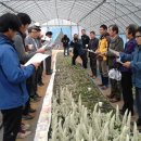 김명복농장 이미지