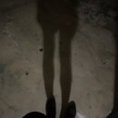 더리터백구점