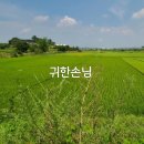 귀한손님공인중개사사무소 이미지