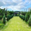 컨트리애견 이미지