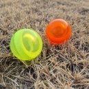 오렌지파크 이미지