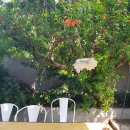 네버엔딩웨이브 이미지