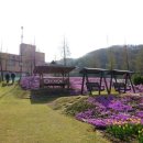 대나무공원 화장실 이미지